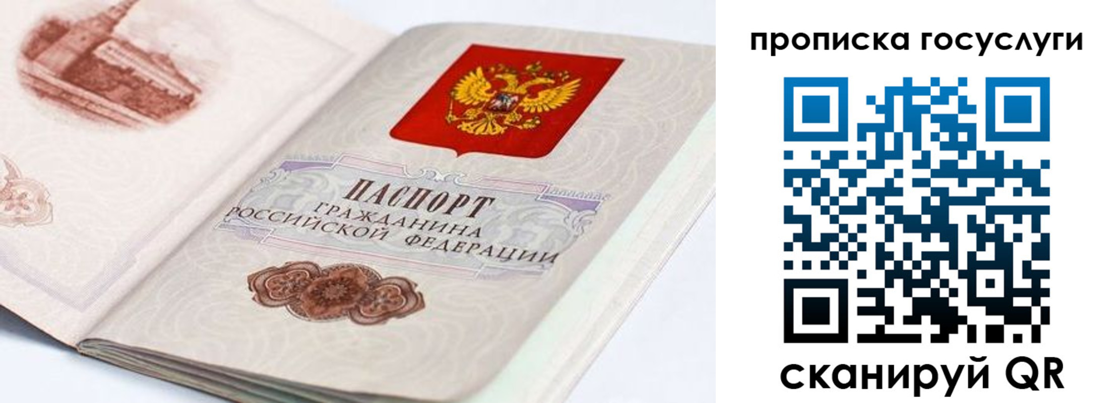 прописка гарантия в Белёве